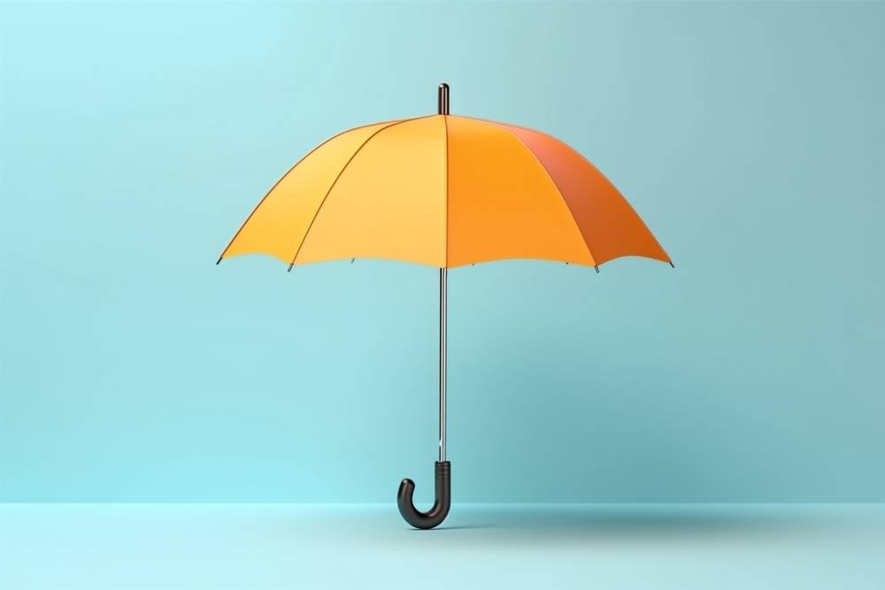 雨