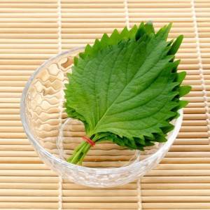 ほぼ週5で作ってる……。本当は秘密にしたい「大葉」の簡単レシピ
