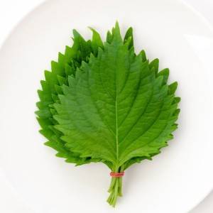 ほぼ週5で作ってる……。切って混ぜるだけの「大葉」の超簡単レシピ