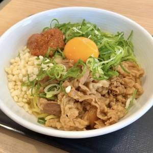大ヒットの予感がする。【吉野家】話題の新作が腰を抜かすほどウマいよ
