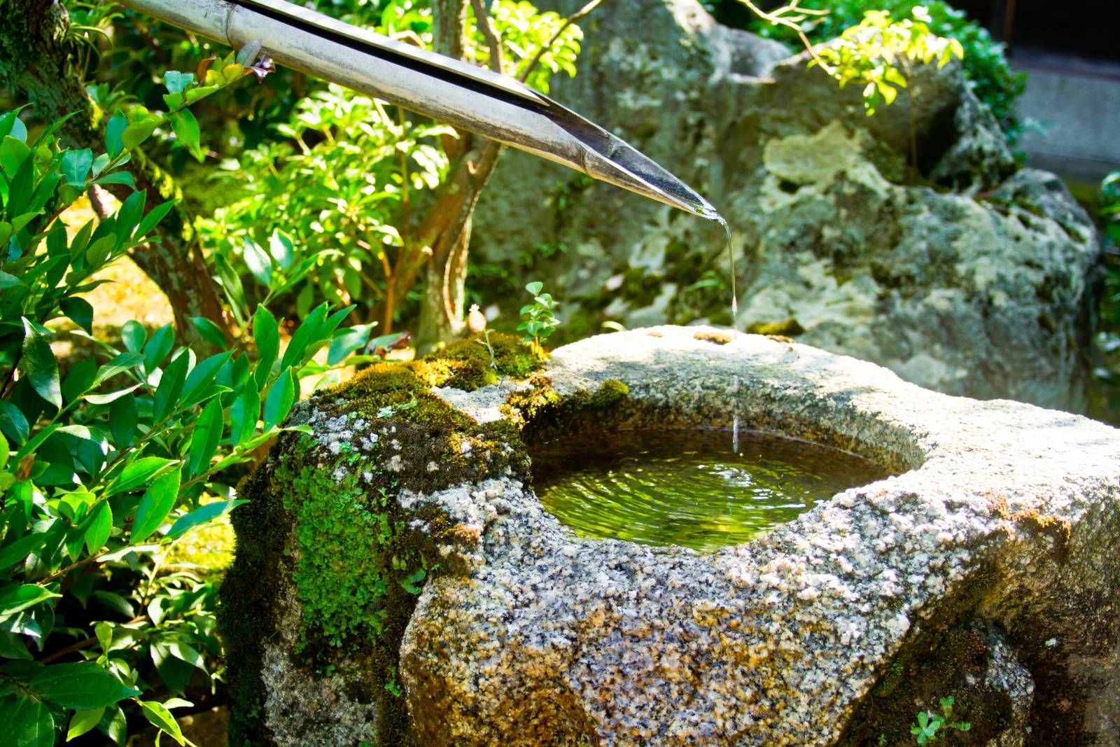 土用　運　上げる　土　さわらない