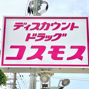 見かけたら即買いしてる。【コスモス】夏にぴったりな人気商品みつけた