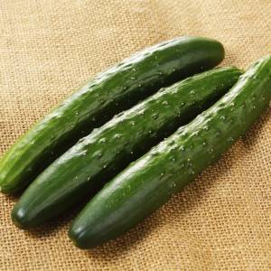 もはや週5で作ってる。切ってのせるだけの「きゅうり」の超旨い食べ方