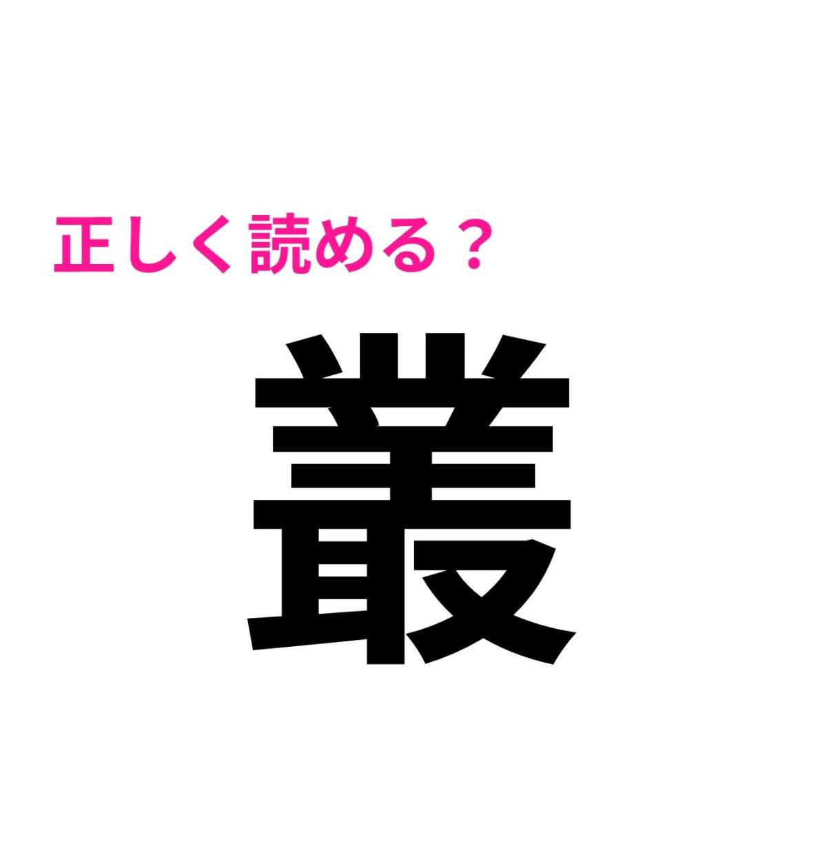 叢