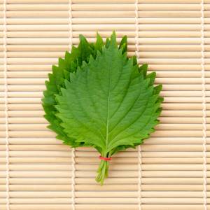 もっと早く知りたかった……。ほぼ5分でできる「大葉」の超簡単レシピ