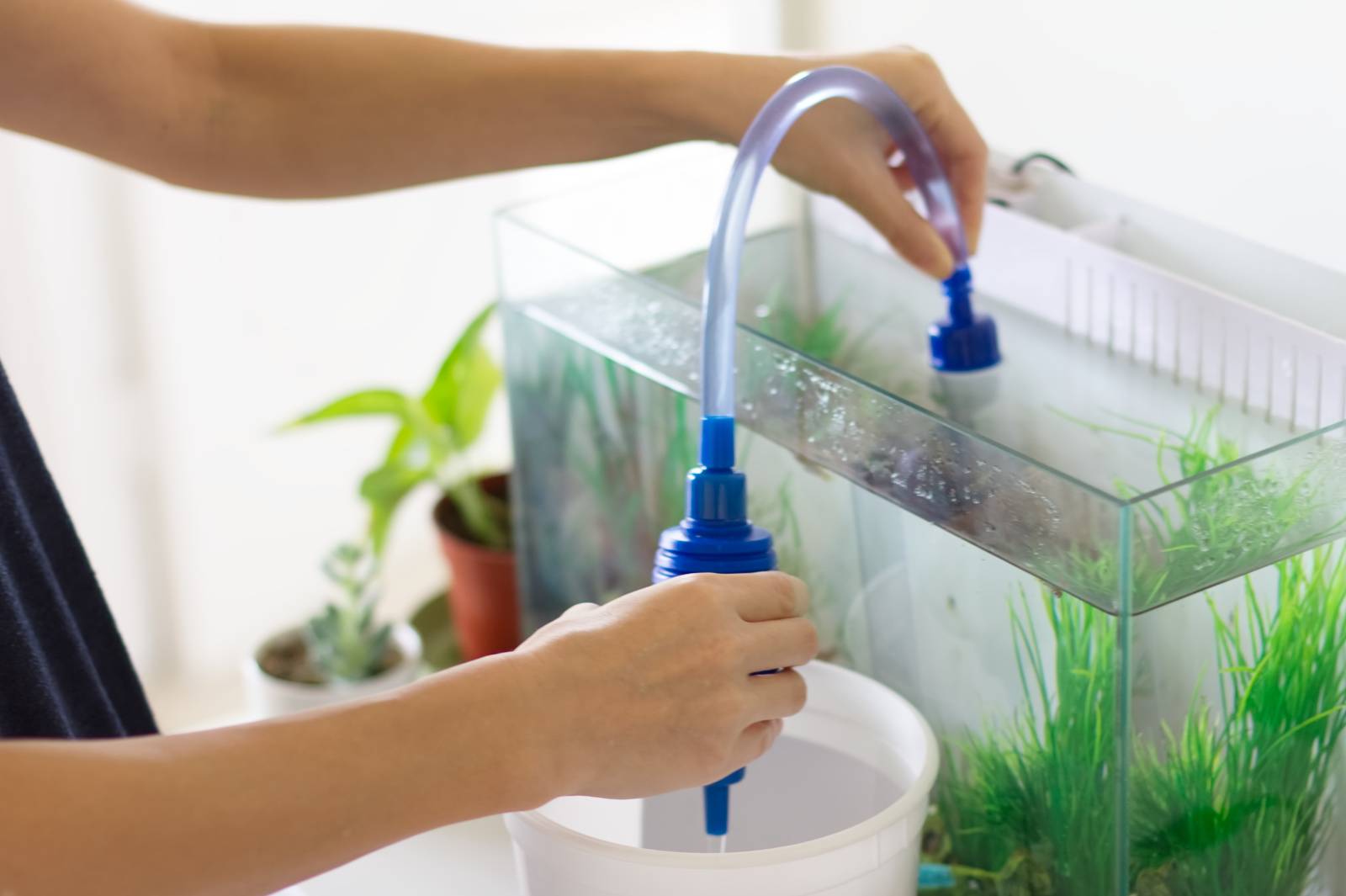 北　運が下がる　濁った水