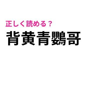 この難しさは悪意ありすぎ……！「背黄青鸚哥」なんと読む？【読めたらスゴい漢字】