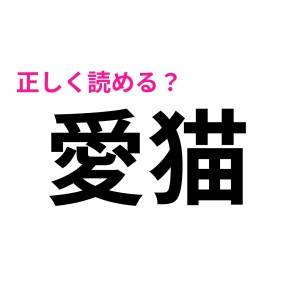 「まなねこ」以外、考えられないんだが……。「愛猫」は何と読む？【読み間違いが多い漢字】