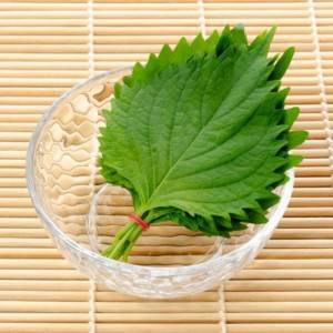 ぶっちゃけ週5で作ってる……。火を使わない「大葉」の超簡単レシピ