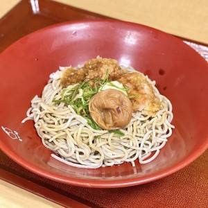 最近コレばっかり食べてる。【なか卯】の新作が本気でビビるほど旨い