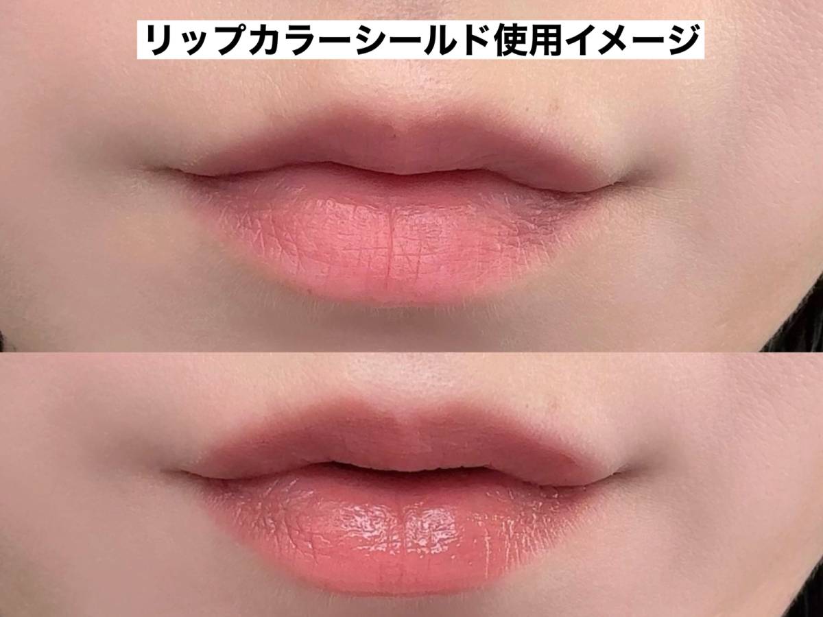 リップカラーシールドフィグブラウン使用イメージ