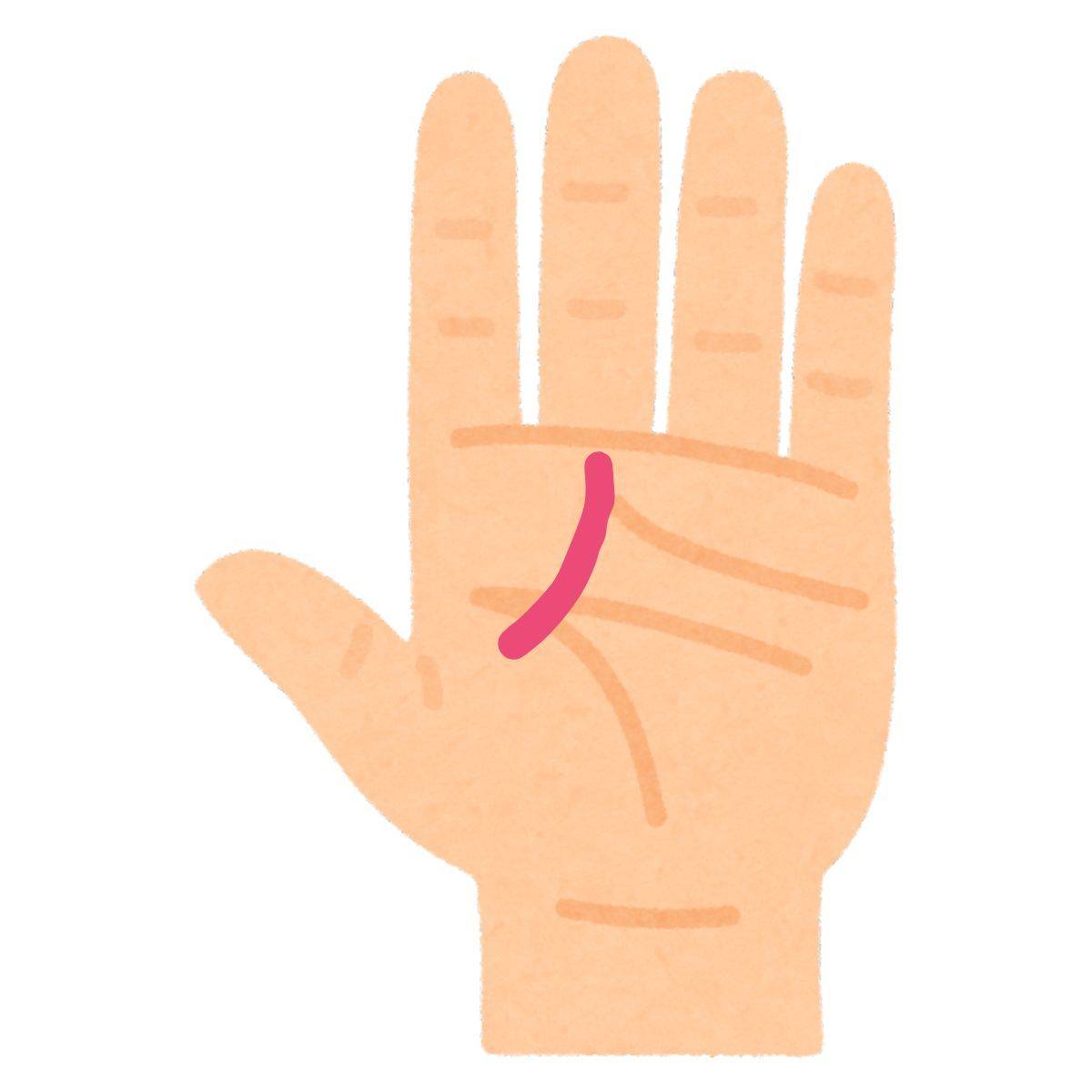 アナウンサー線