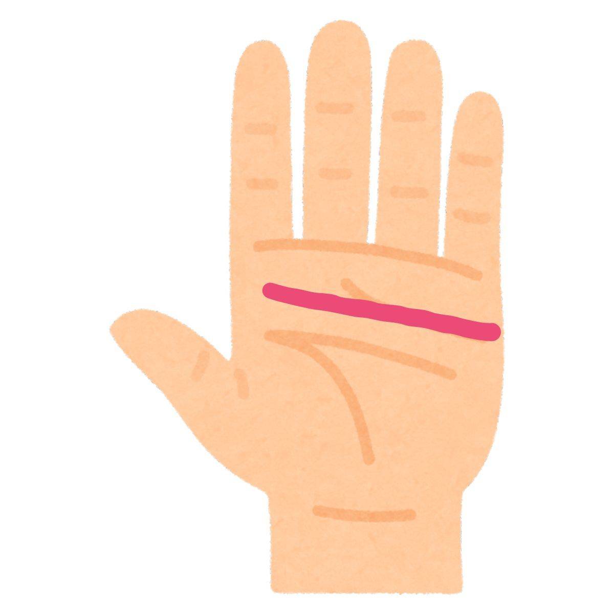 長くまっすぐな感情線