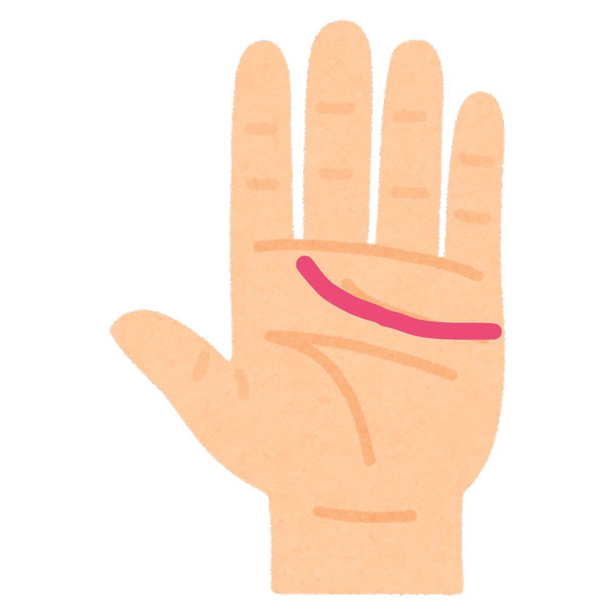 長くカーブした感情線