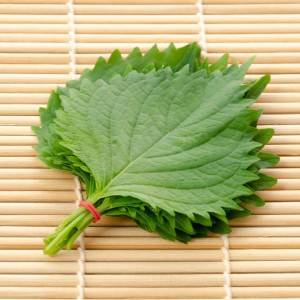 はい、鬼リピ確定です……。ほぼ5分でできる「大葉」の超簡単レシピ