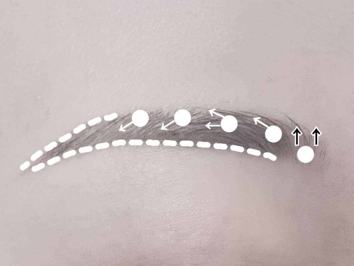 nake ネイク3in1 アイブロウ 01 ナチュラルブラウン ニュアンスオンアイブロウ 01 ウォームブラウン 塗布方法 筆者眉