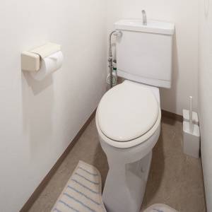 実は風水的に最悪です……。トイレに置くとみすみす運を逃すもの5選