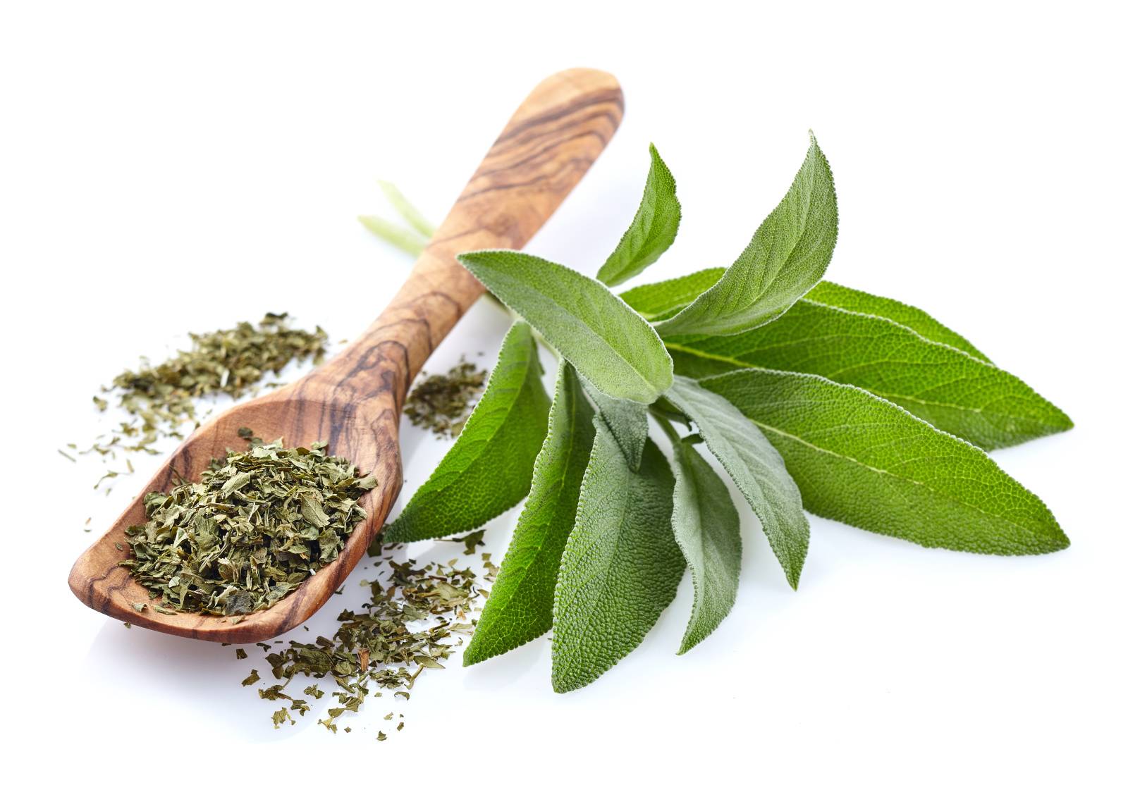 リビング　魔除け　ホワイトセージ