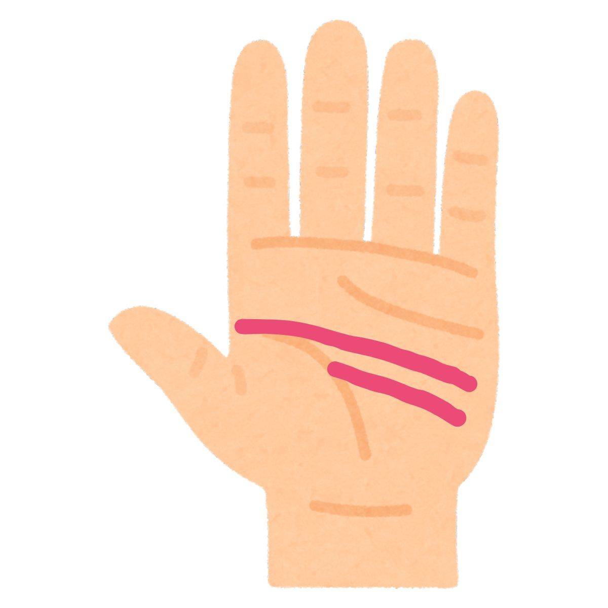 複数ある知能線