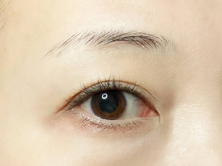 ロムアンド ハンオールブロウカラ 03 モダンベージュ 筆者目元 すっぴん