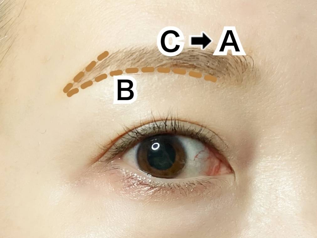 ロムアンド ハンオールブロウカラ 03 モダンベージュ 筆者目元 眉の描き方