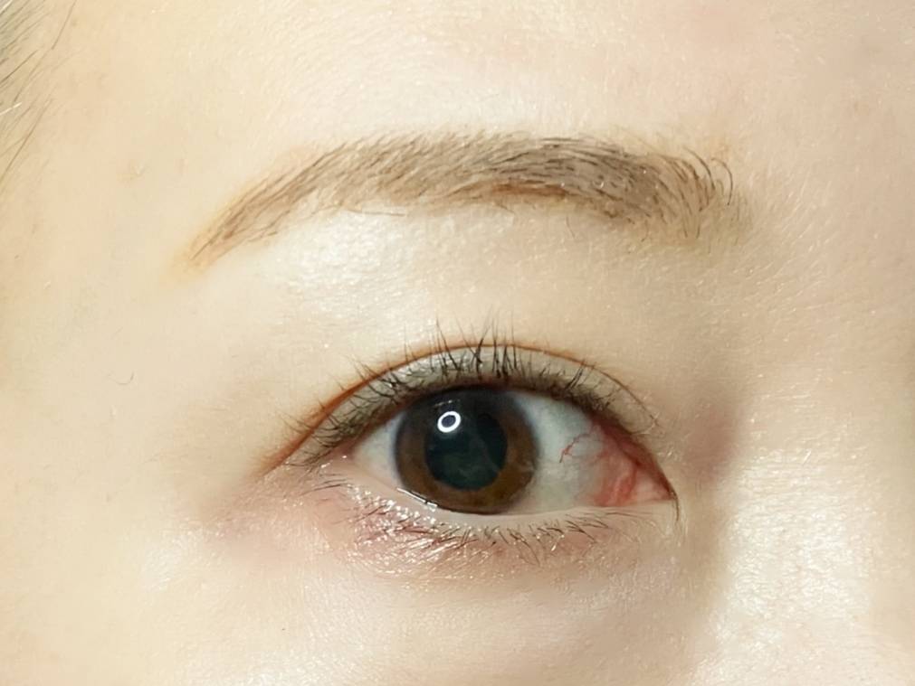 ロムアンド ハンオールブロウカラ 03 モダンベージュ 筆者目元 眉完成 