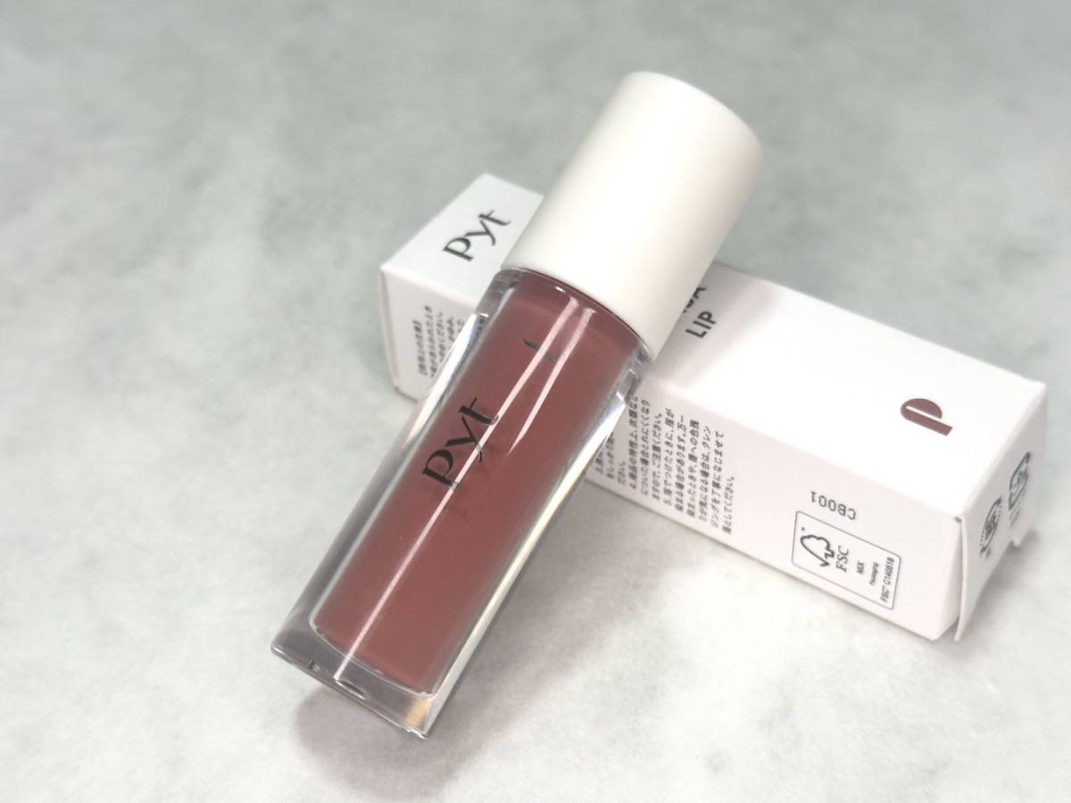 ダソムさんがディレクターを務めるPytが誕生