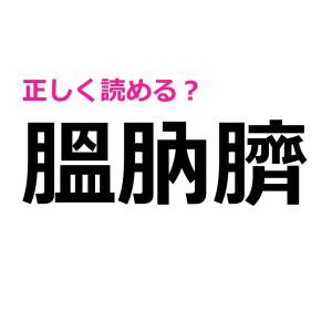 正直、読める人いないでしょ……。「膃肭臍」の読み方はなに？【読めたらスゴい漢字】