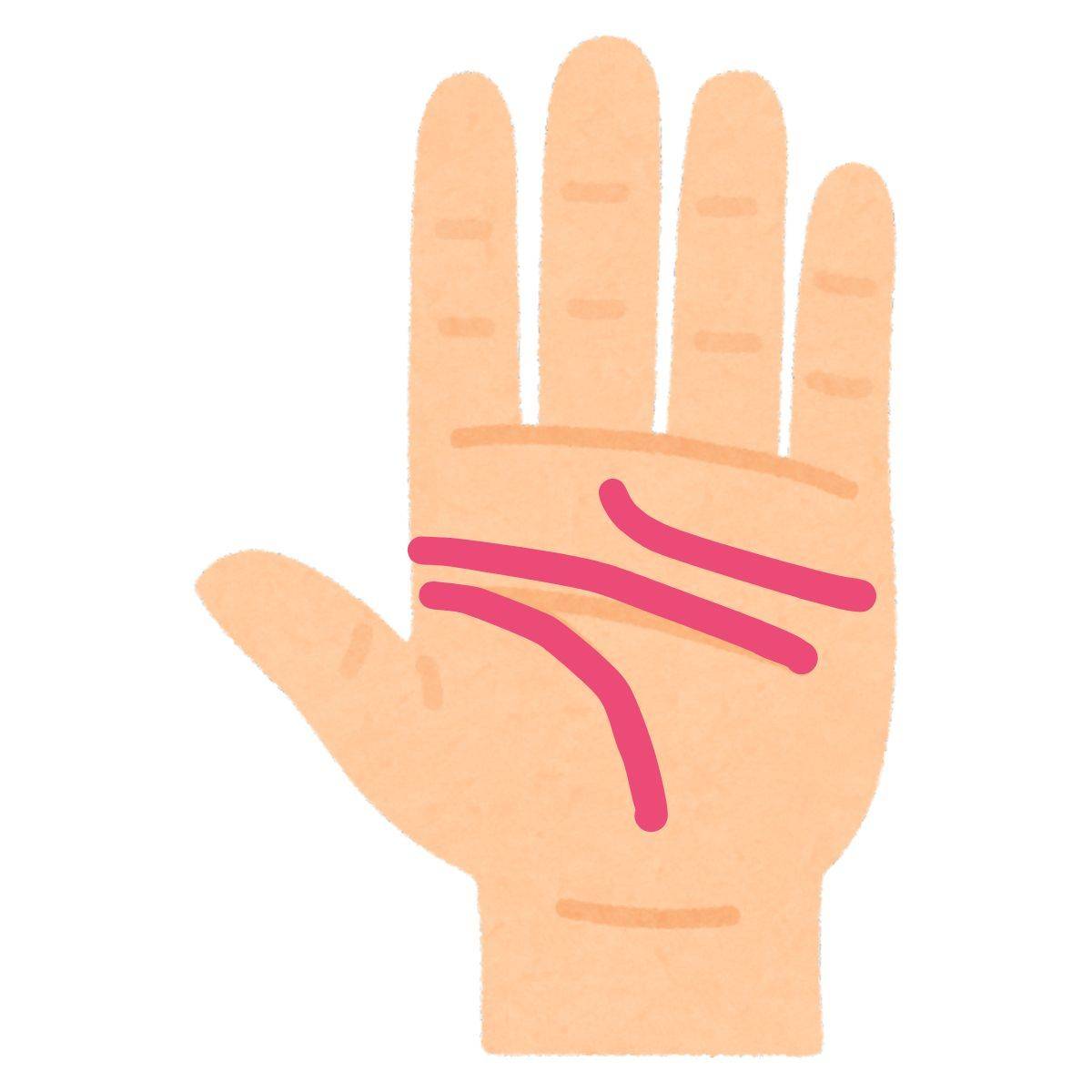 感情線・知能線・生命線が離れている状態