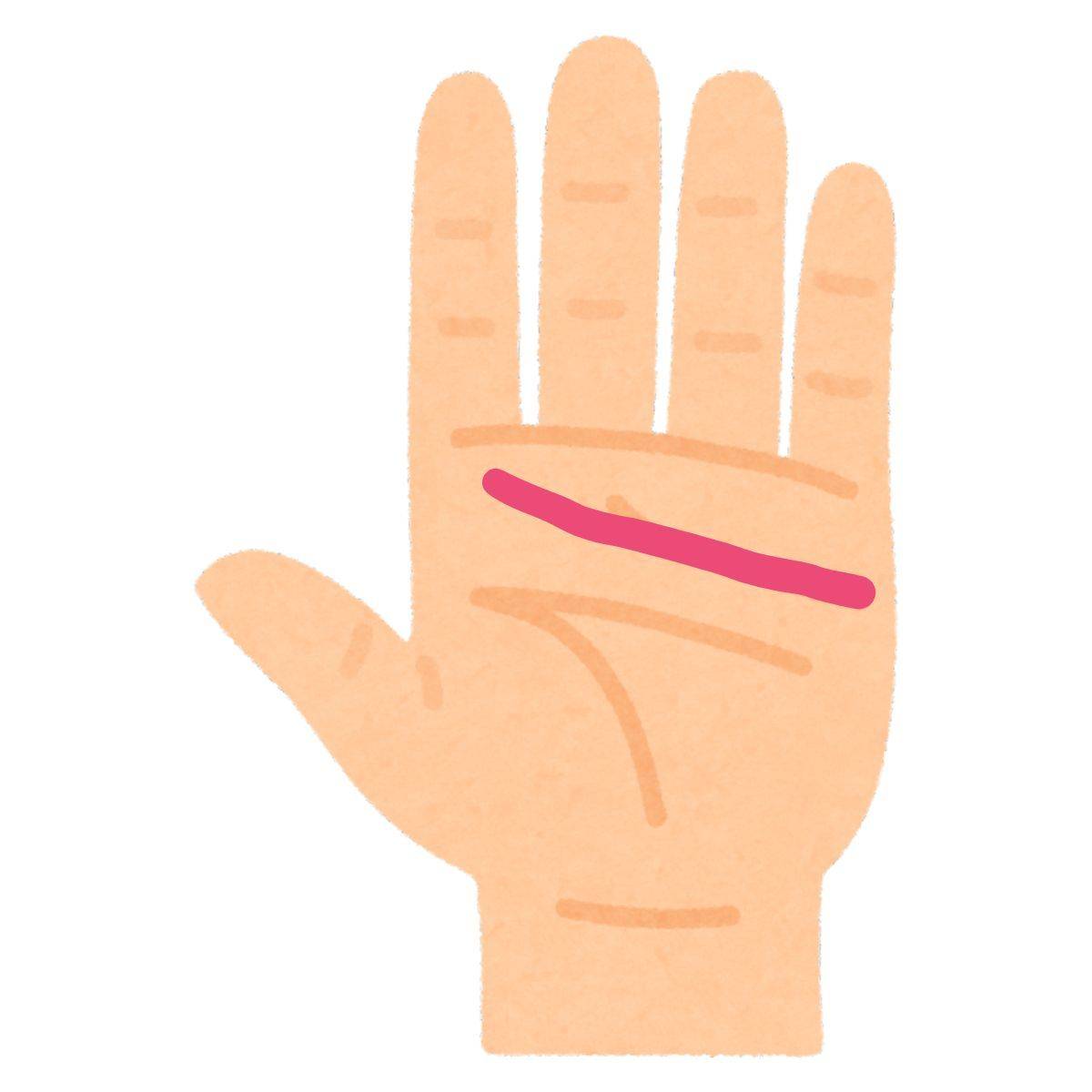 長くて濃い感情線