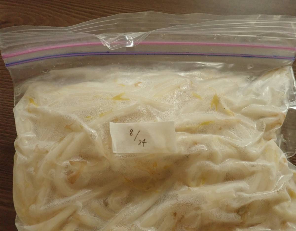 ダイソーのマスキングテープ(ミシン目入り、ホワイト)