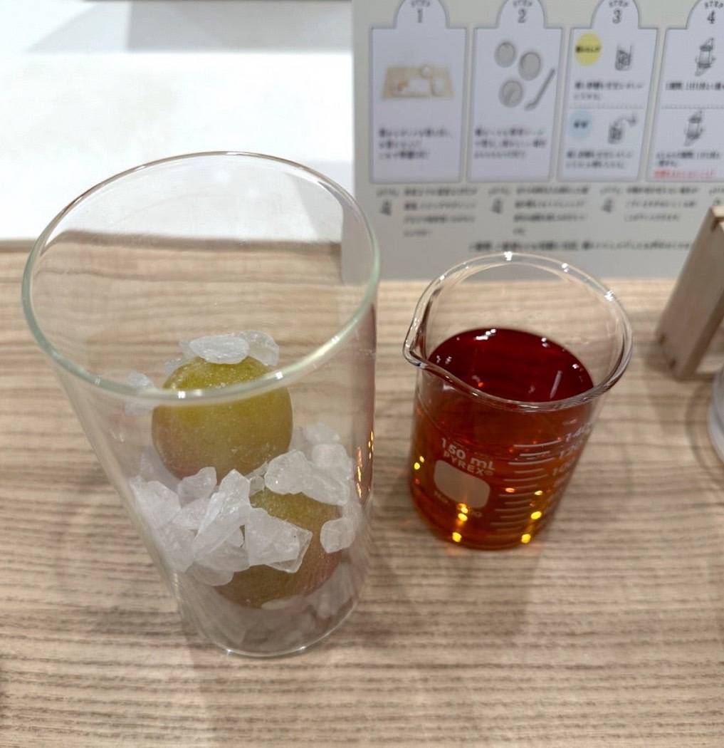 〈チョーヤ〉の梅酒作り体験