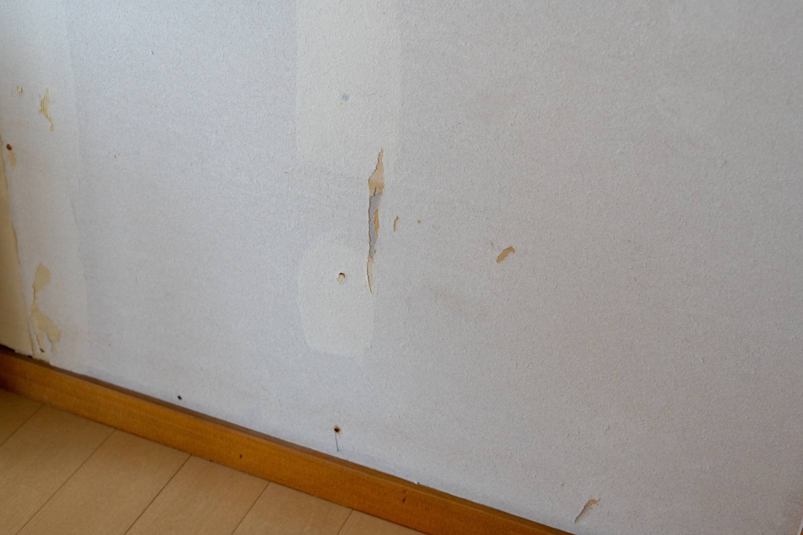 廊下　運を逃す　アイテム　破れたクロス