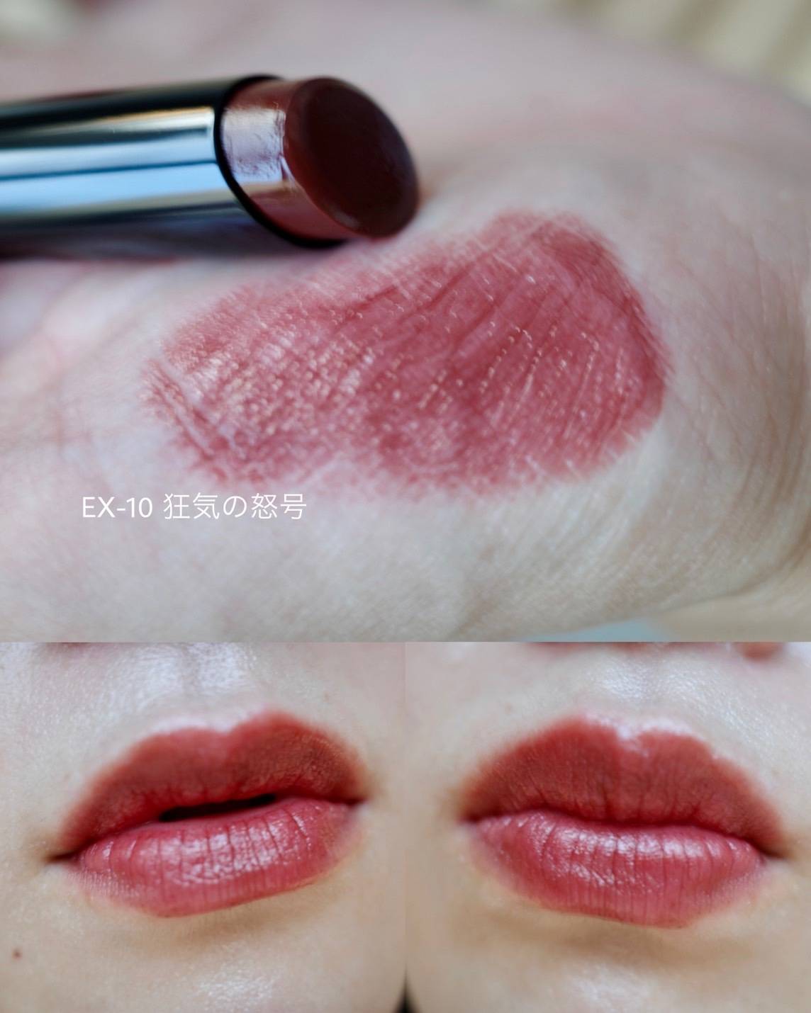 リップモンスターEX-10