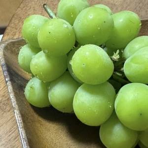 ひと粒で幸せに……♡旬の時期に選びたい！ふるさと納税「シャインマスカット」