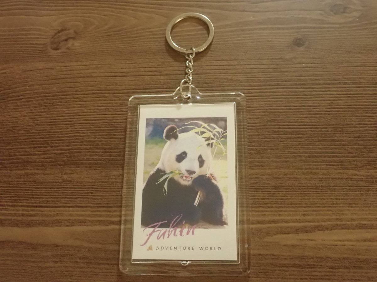 ダイソーのチェキ用フォトキーホルダー