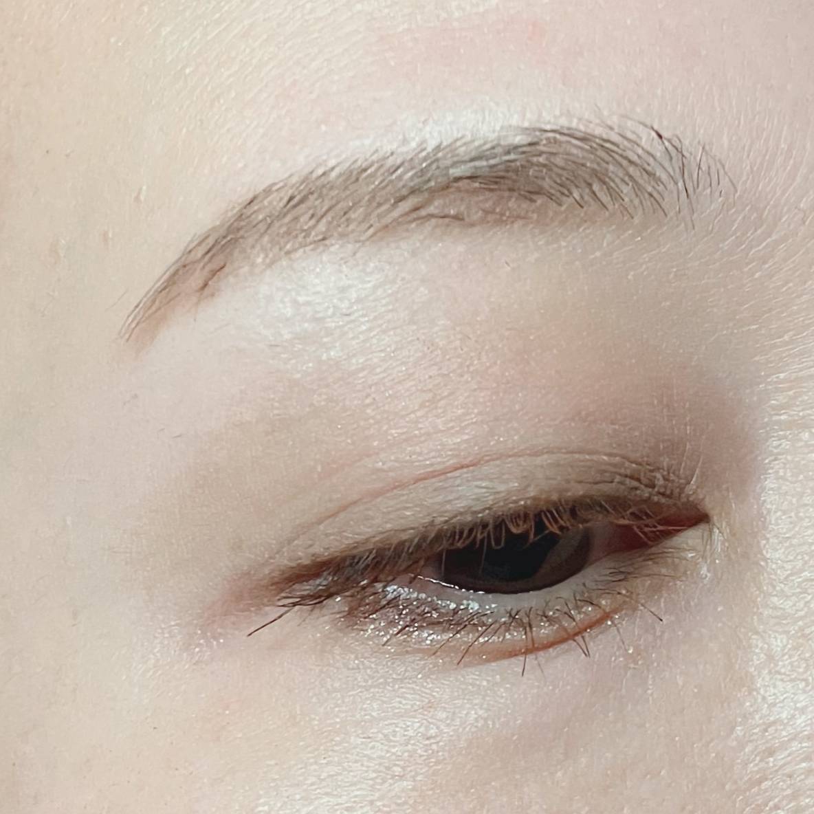 WHOMEE マルチアイブロウパウダー