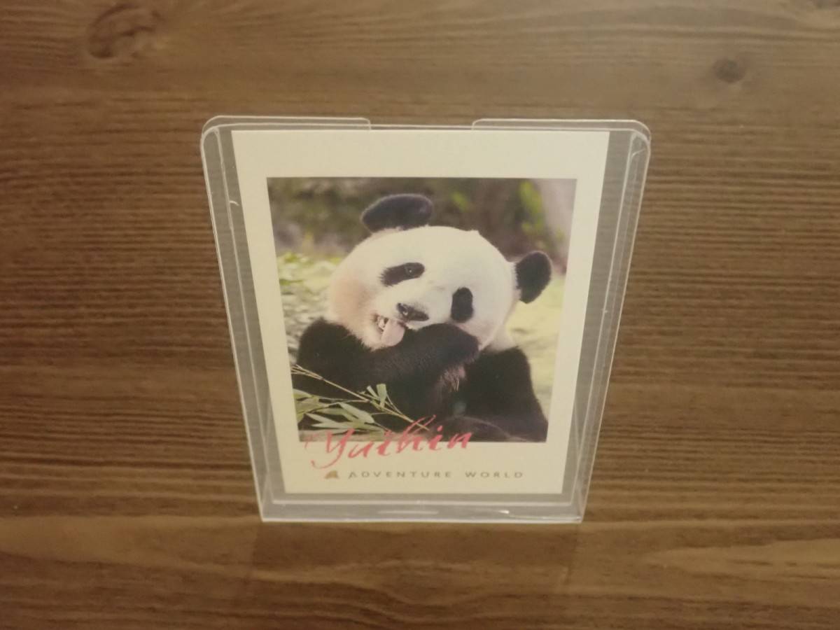 ダイソーの硬質ケース スタンドタイプ チェキ対応