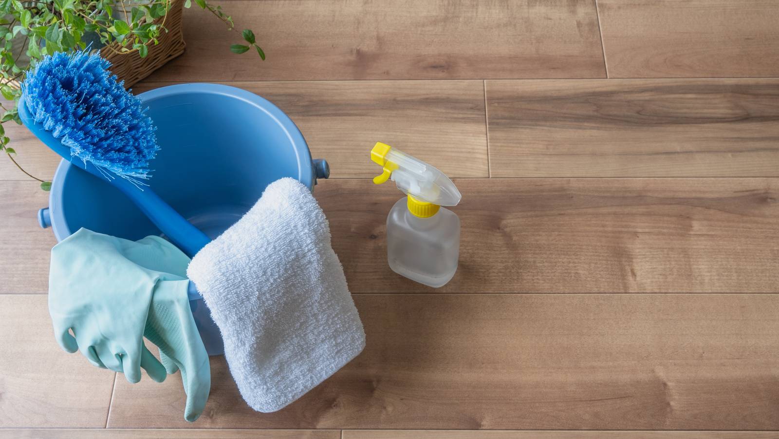 お彼岸　運気が上がる　掃除