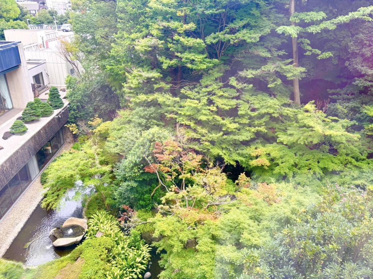 シェラトン都ホテル 窓からの景色