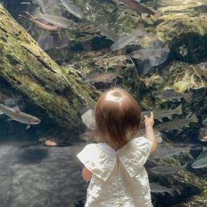 【京都】水族館でイルカショー！暑い夏の子連れお出かけにぴったり♪