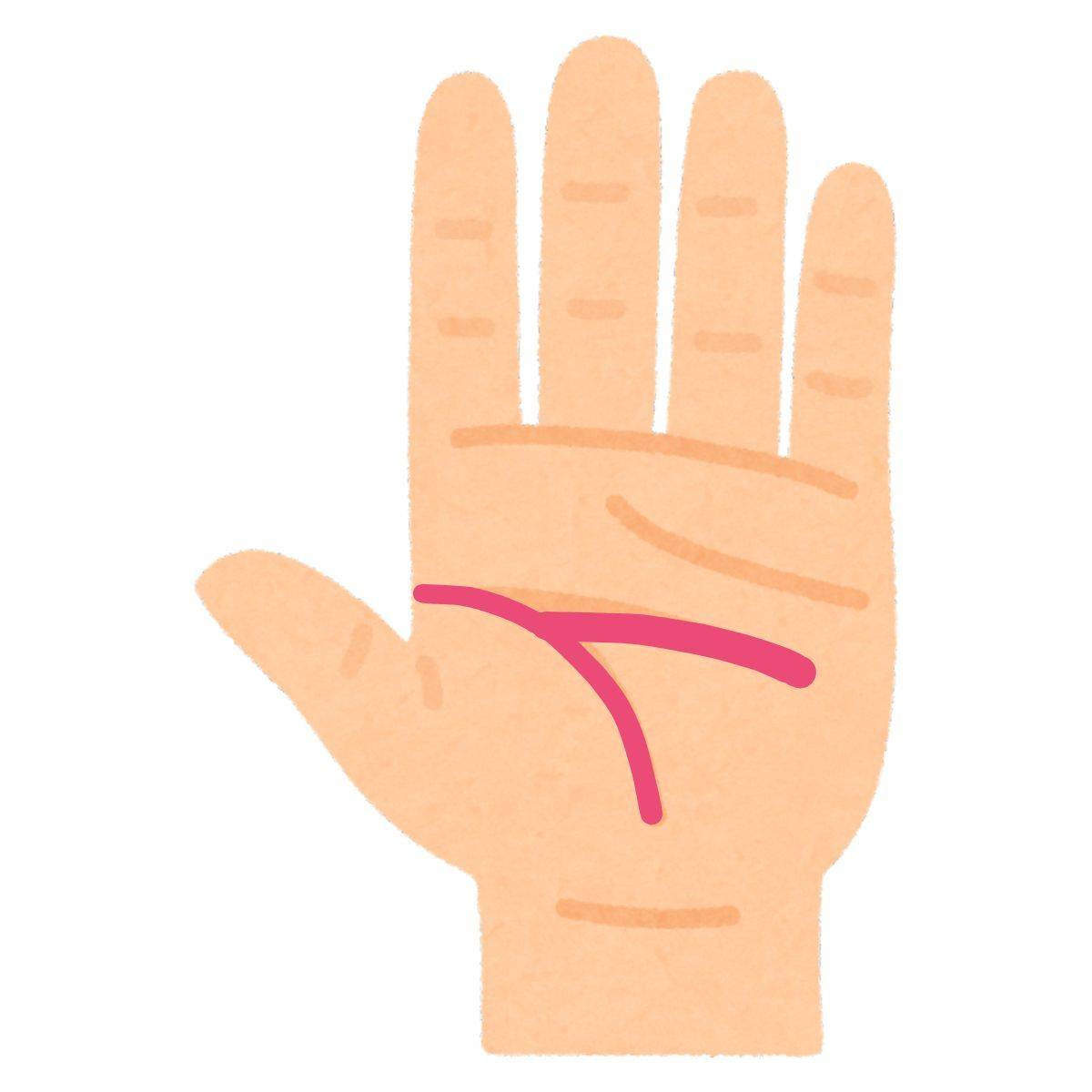 生命線から伸びている知能線