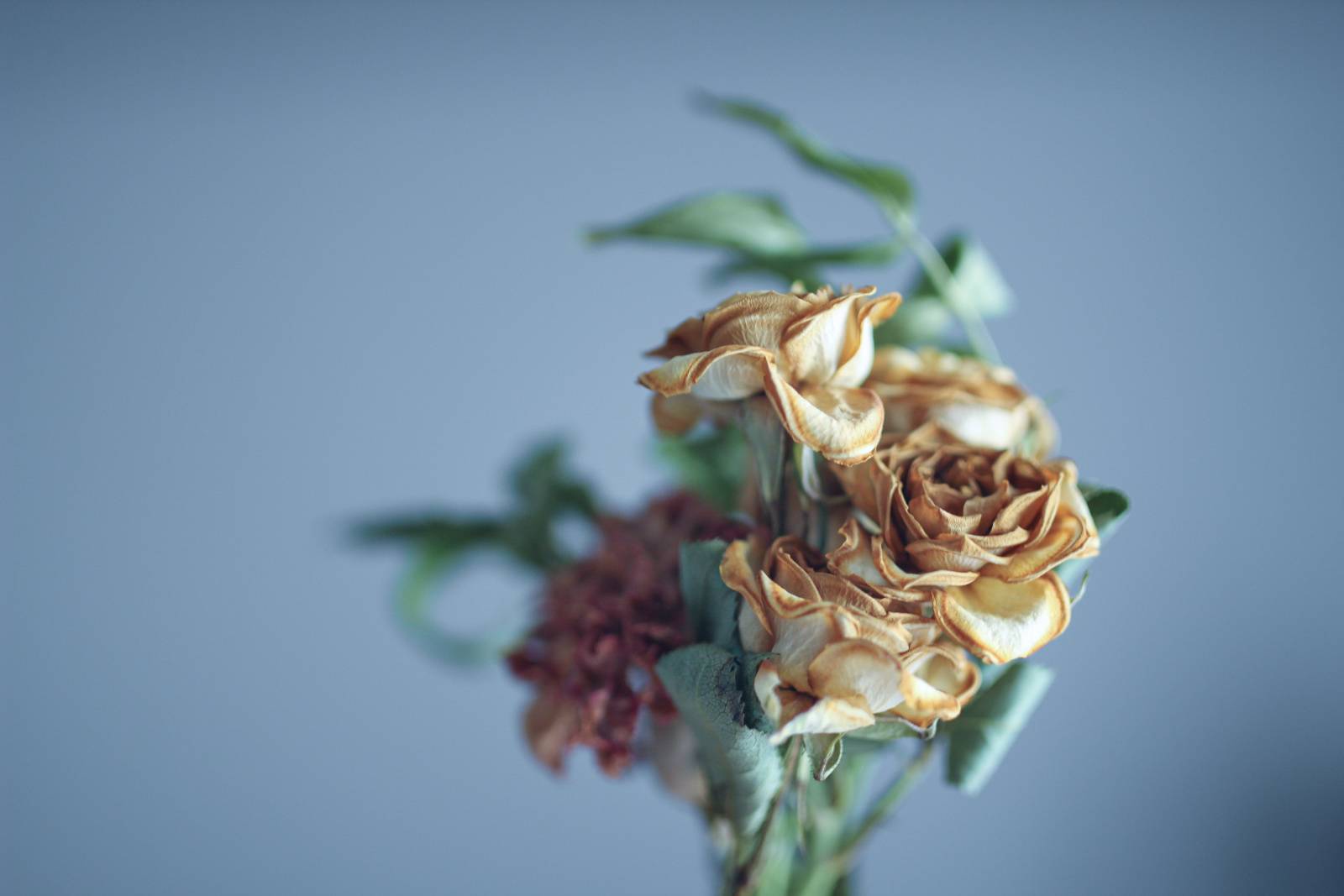 ダイニング 対人運 下がる 枯れた花