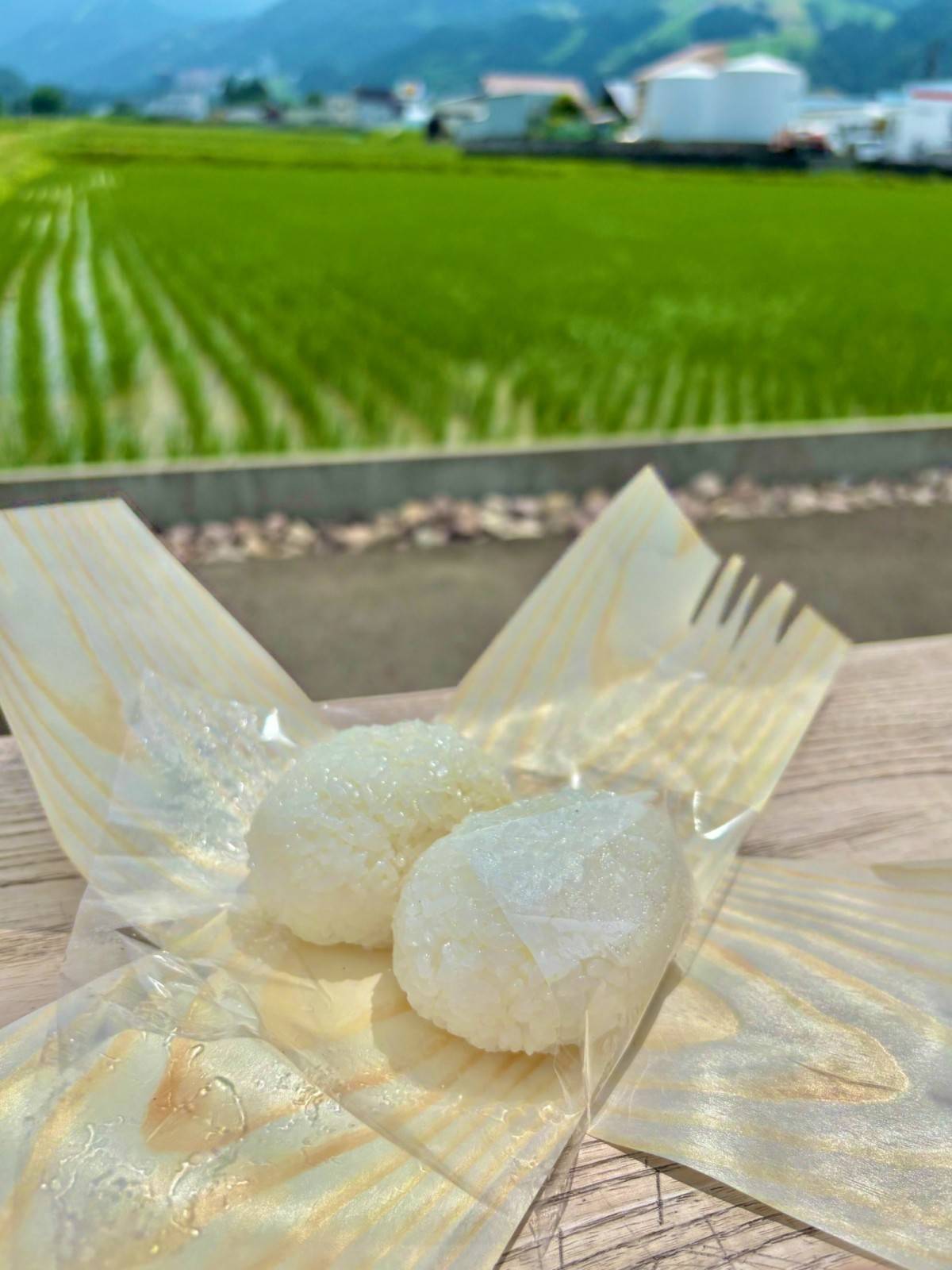 FARM FRONTの塩むすび