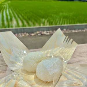 【新潟】塩だけでごちそうになる。農家直営のおにぎり専門店「FARM FRONT」