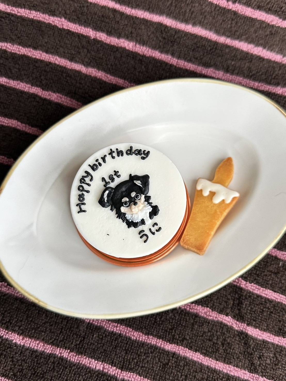 犬用バースデーケーキ