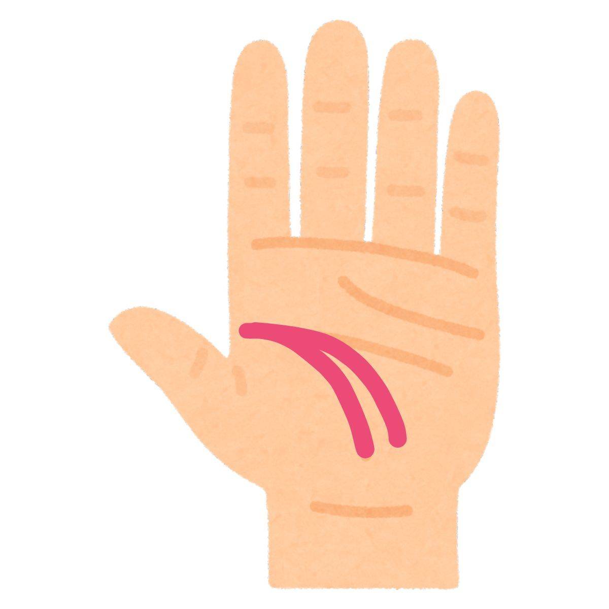 平行している知能線と生命線