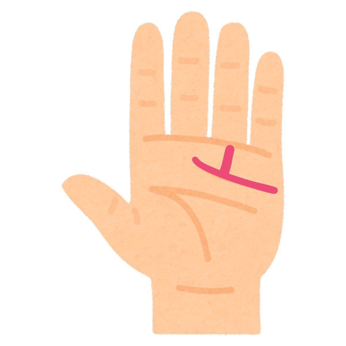 感情線から出る太陽線