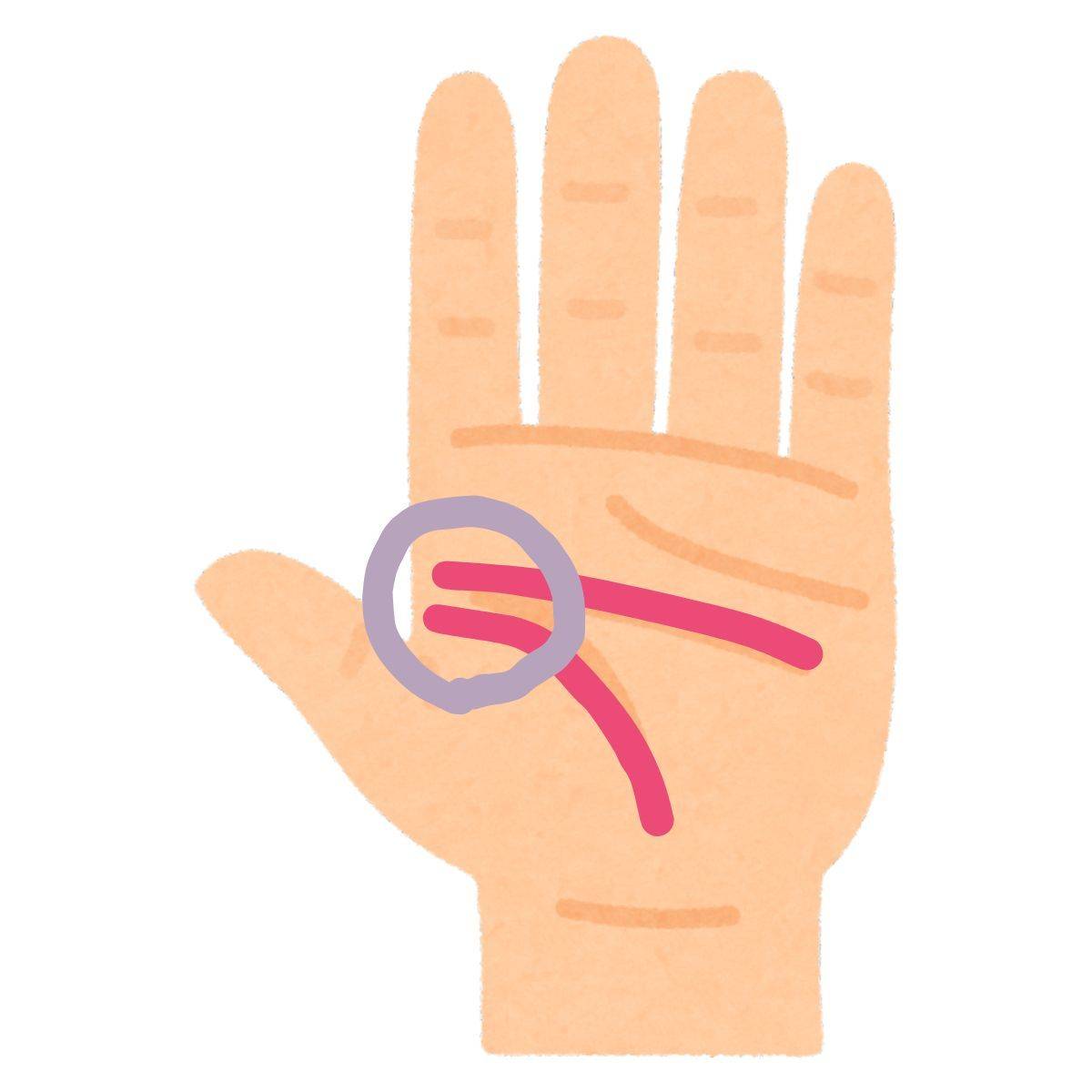 生命線から離れている知能線