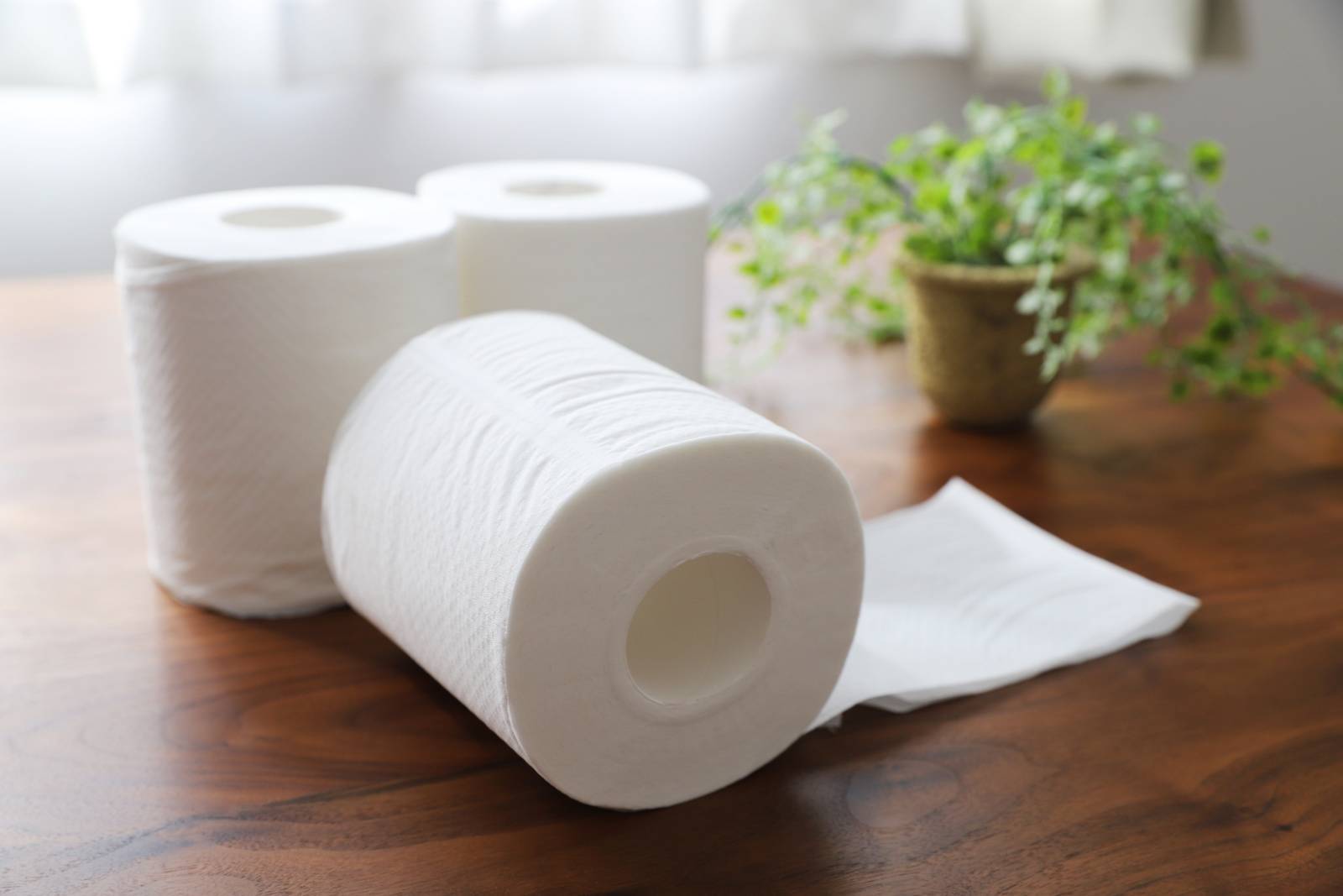 トイレ　幸運　トイレットペーパー